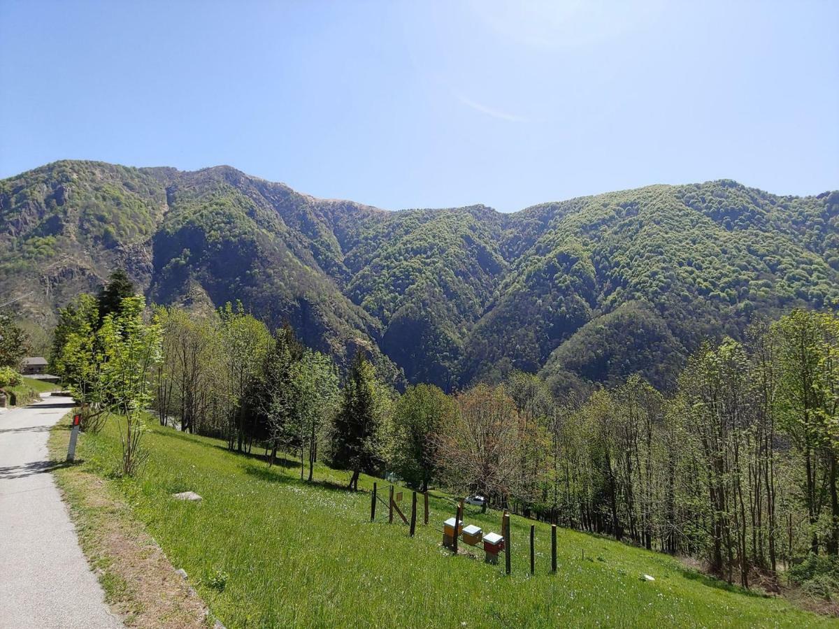 Ostello Del Parco Di Cicogna المظهر الخارجي الصورة