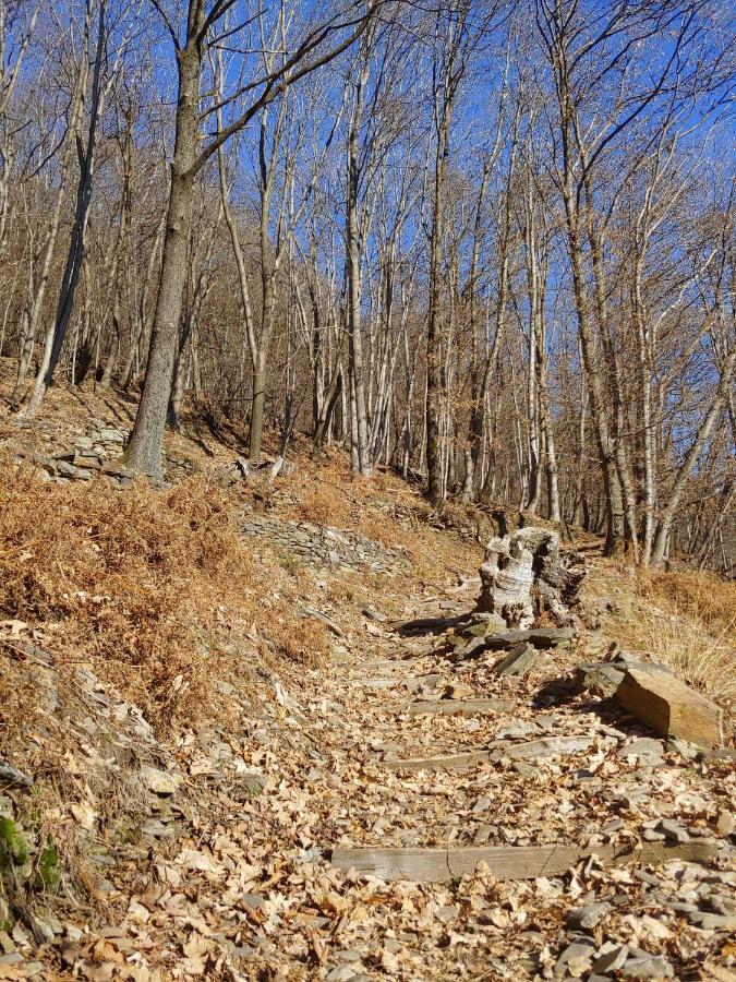 Ostello Del Parco Di Cicogna المظهر الخارجي الصورة